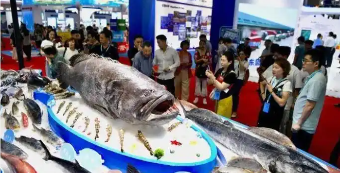 1758617565542.png 1758617565542.png