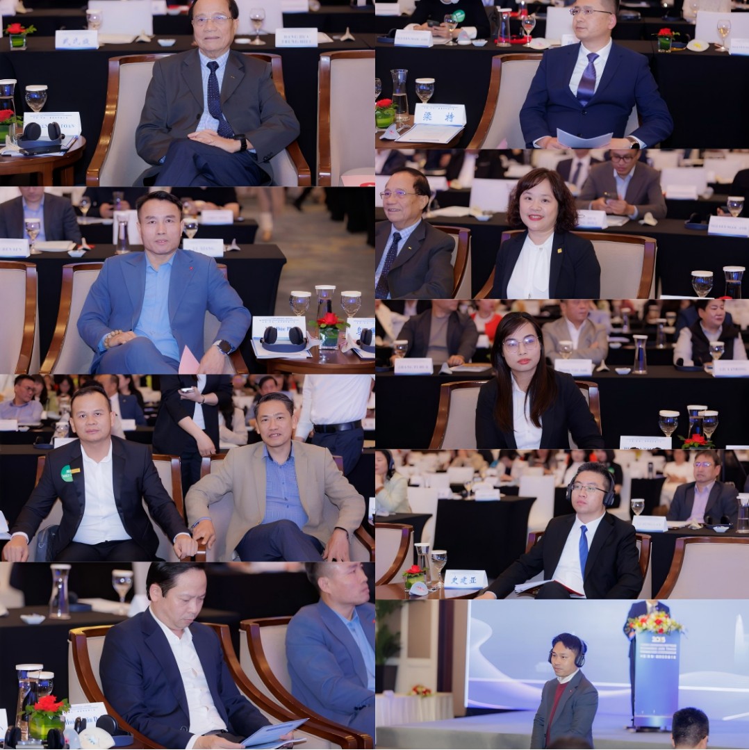 1765871788446.jpg 1765871788446.jpg